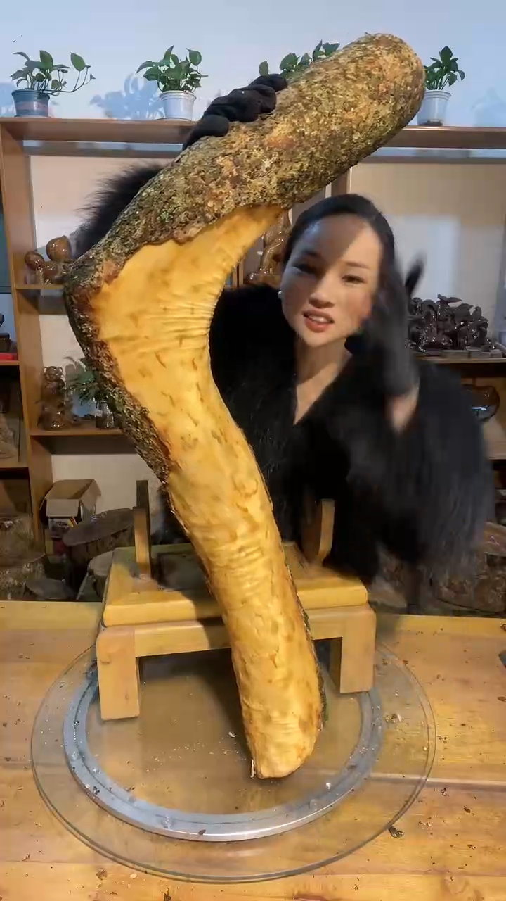 阿祥金丝楠木闪购链接