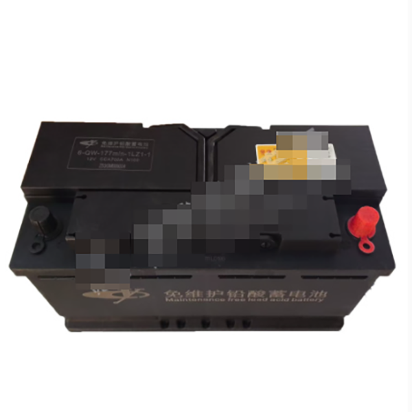 6-QW-250MIN-1LZ1-0电池