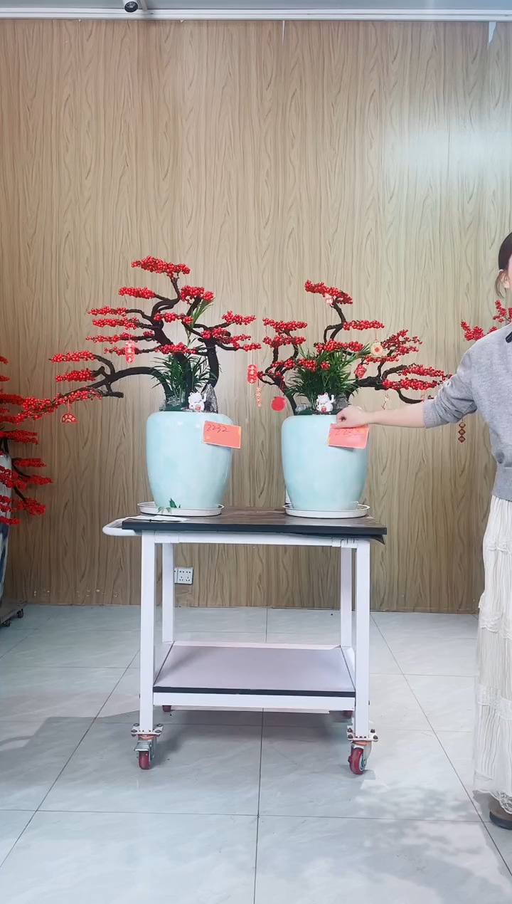 完全开放在**方北美冬青一对