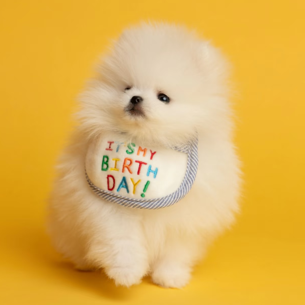 【大萌家小可爱】活体狗狗