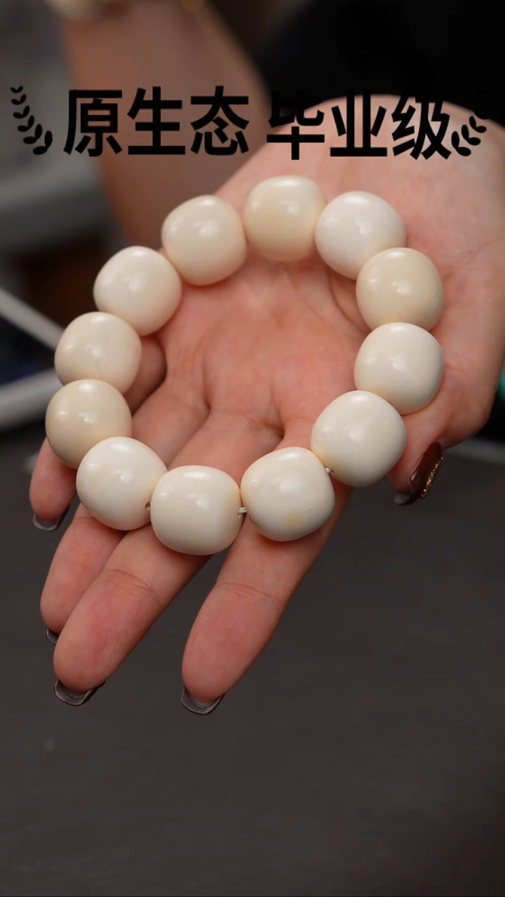 手串/手链/手镯猛犸象牙20*19规格牙芯料