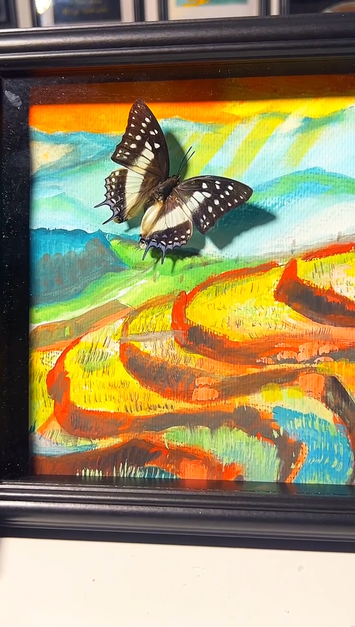 有机玻璃6681681885