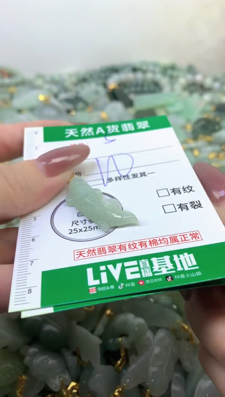 颈饰未镶嵌翡翠纯天然缅甸A货翡翠