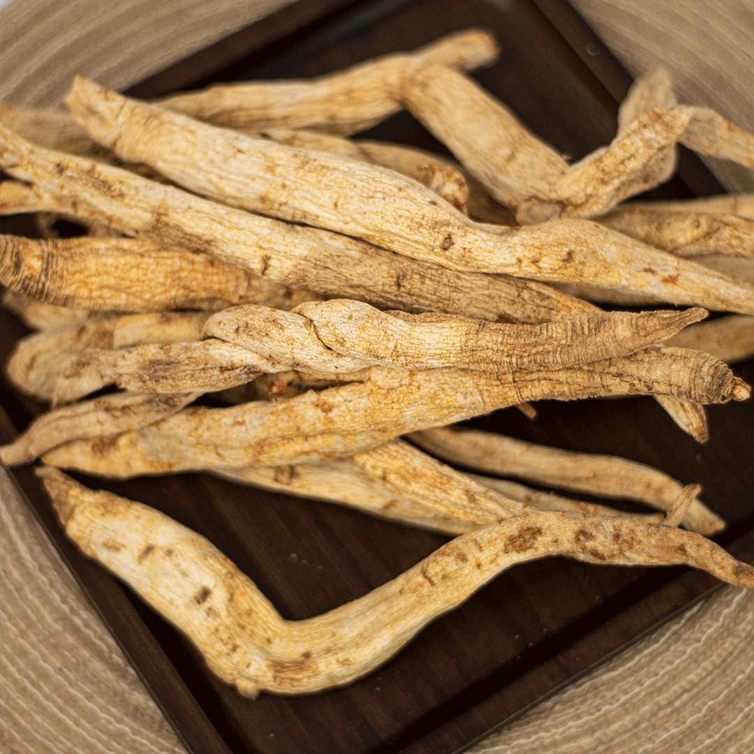 大曾甄选 沙参【鱼胶s298】