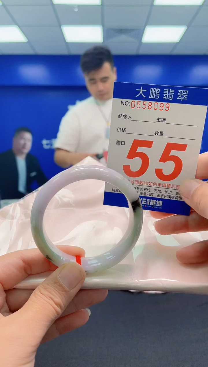 未镶嵌手镯翡翠AAAAAAAAA