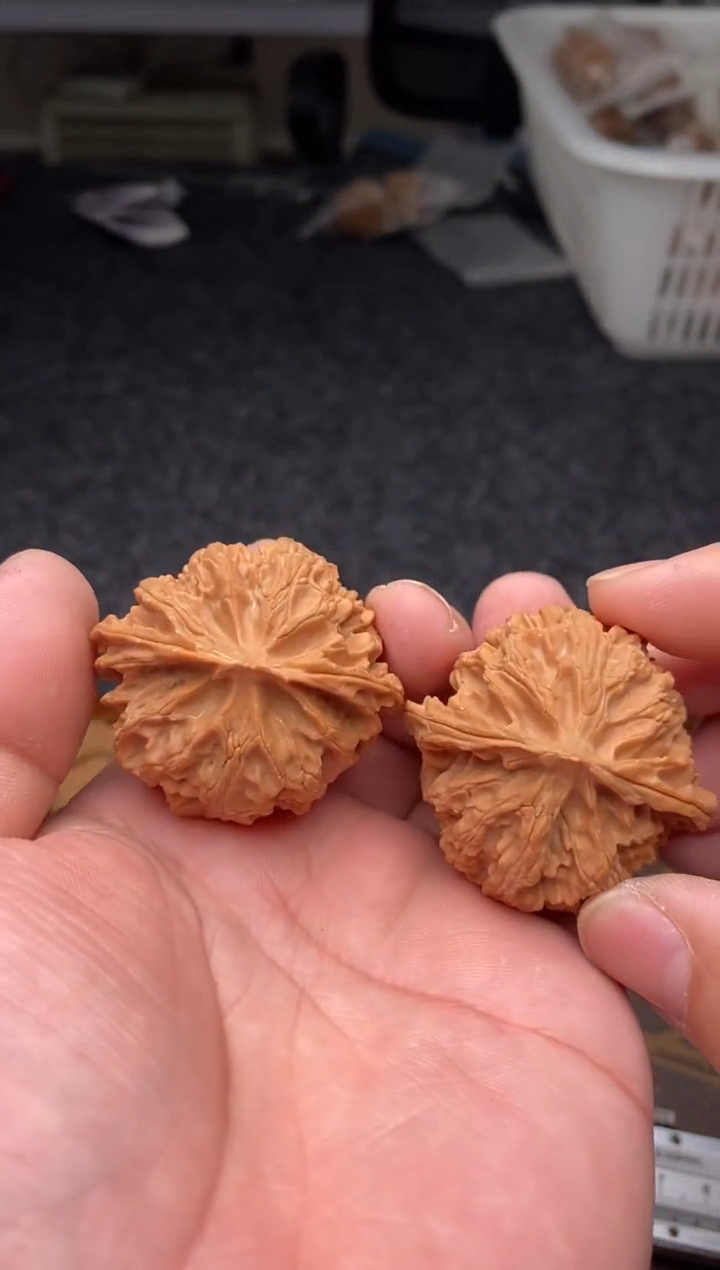 把件文玩核桃B159号苹果园46尺