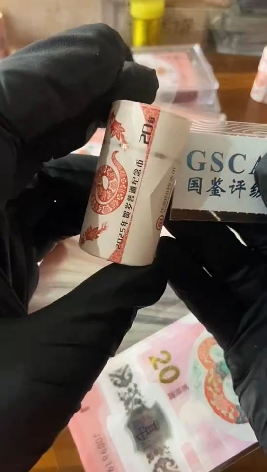 【闪购商品】蛇币卷............