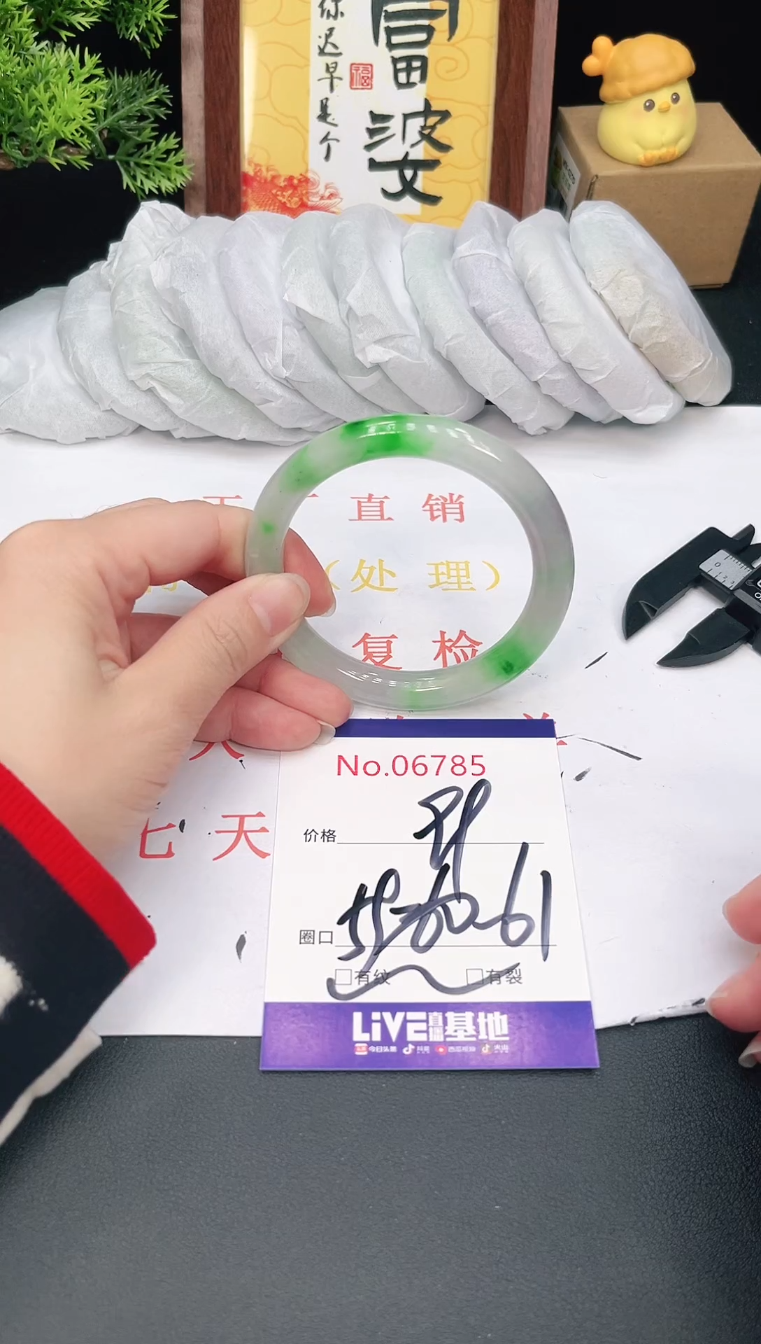 未镶嵌手镯翡翠6785