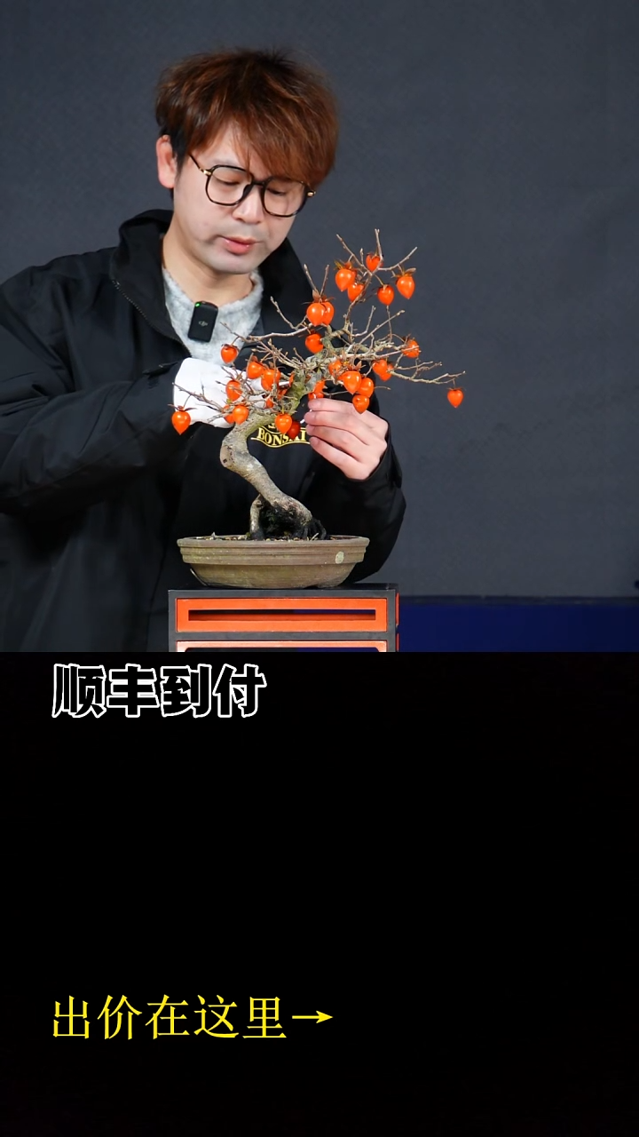 无花朵易*川老鸭柿