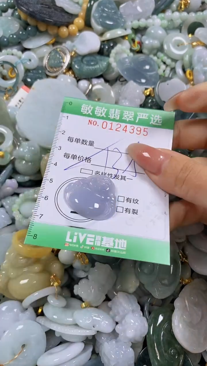 【闪购商品】翡翠颈饰未镶嵌闪购0124395