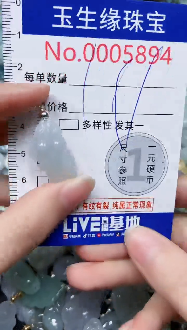 【闪购商品】翡翠颈饰未镶嵌闪购00005894