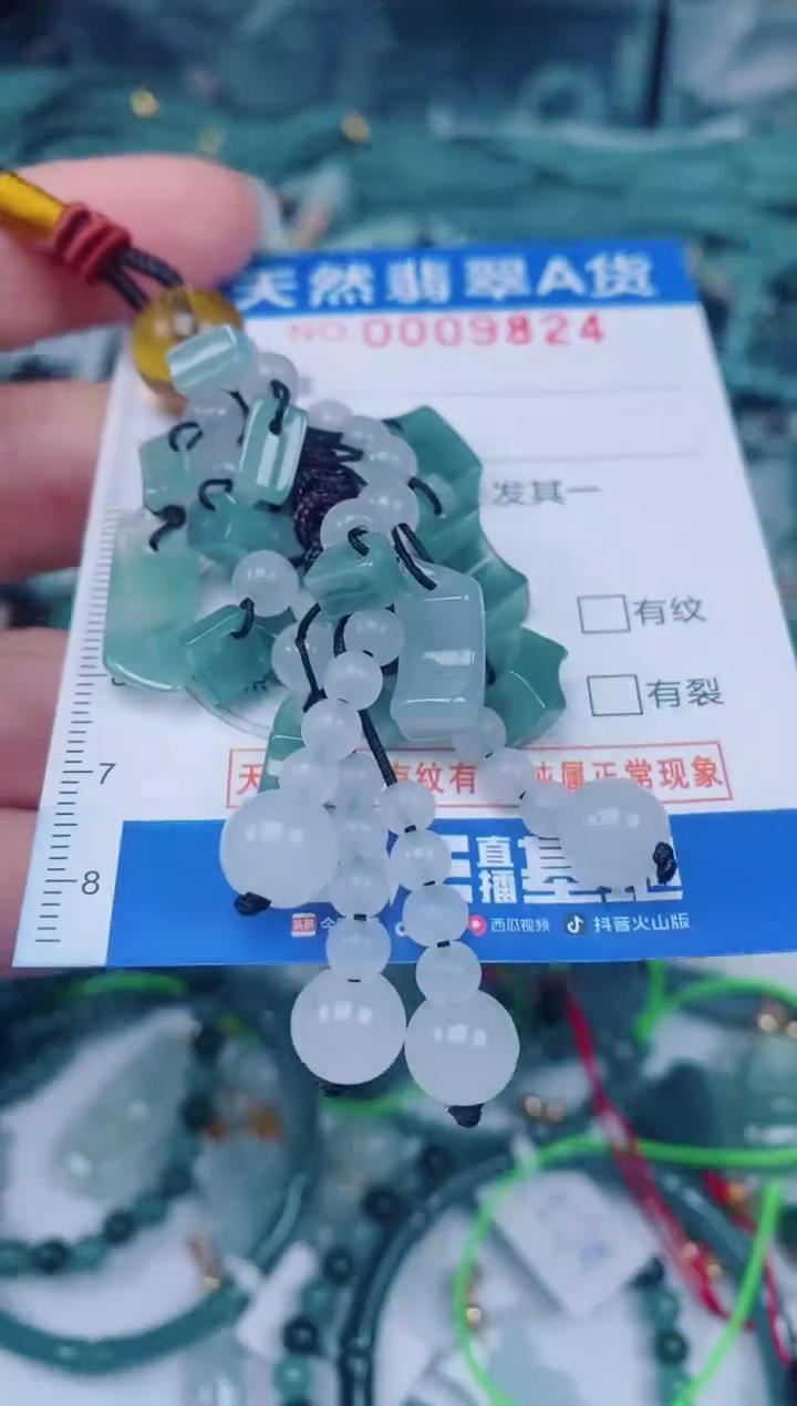 颈饰未镶嵌翡翠00009824