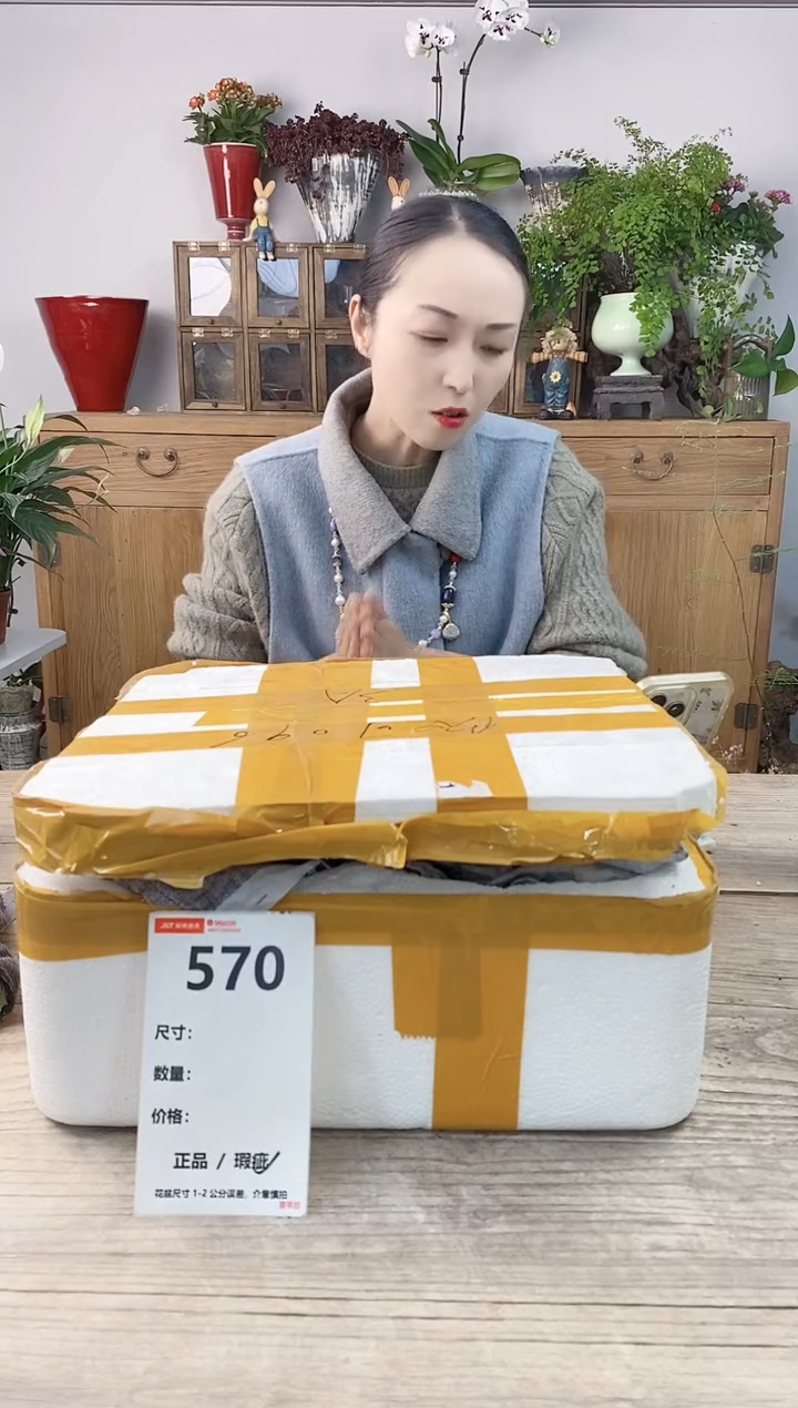 小玩子花盆直播编号570