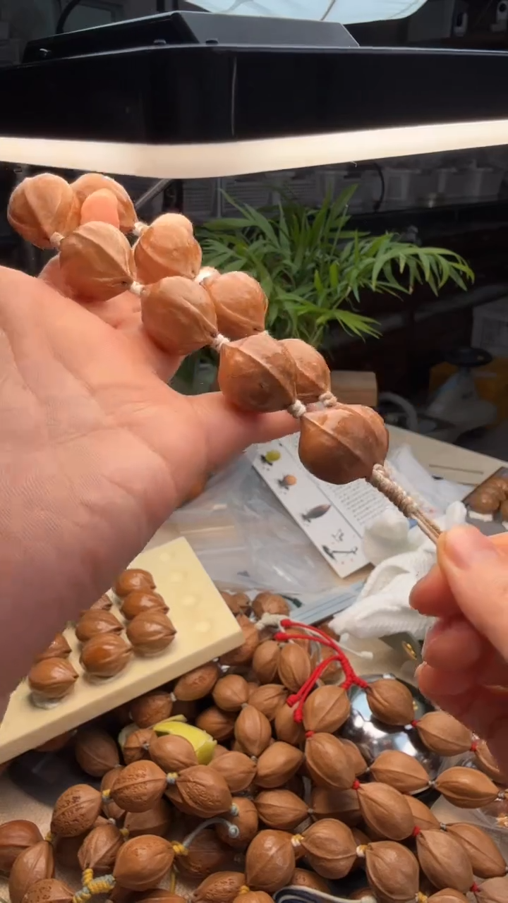 【闪购商品】橄榄核手串/手链橄榄核1.9*2.3短铁