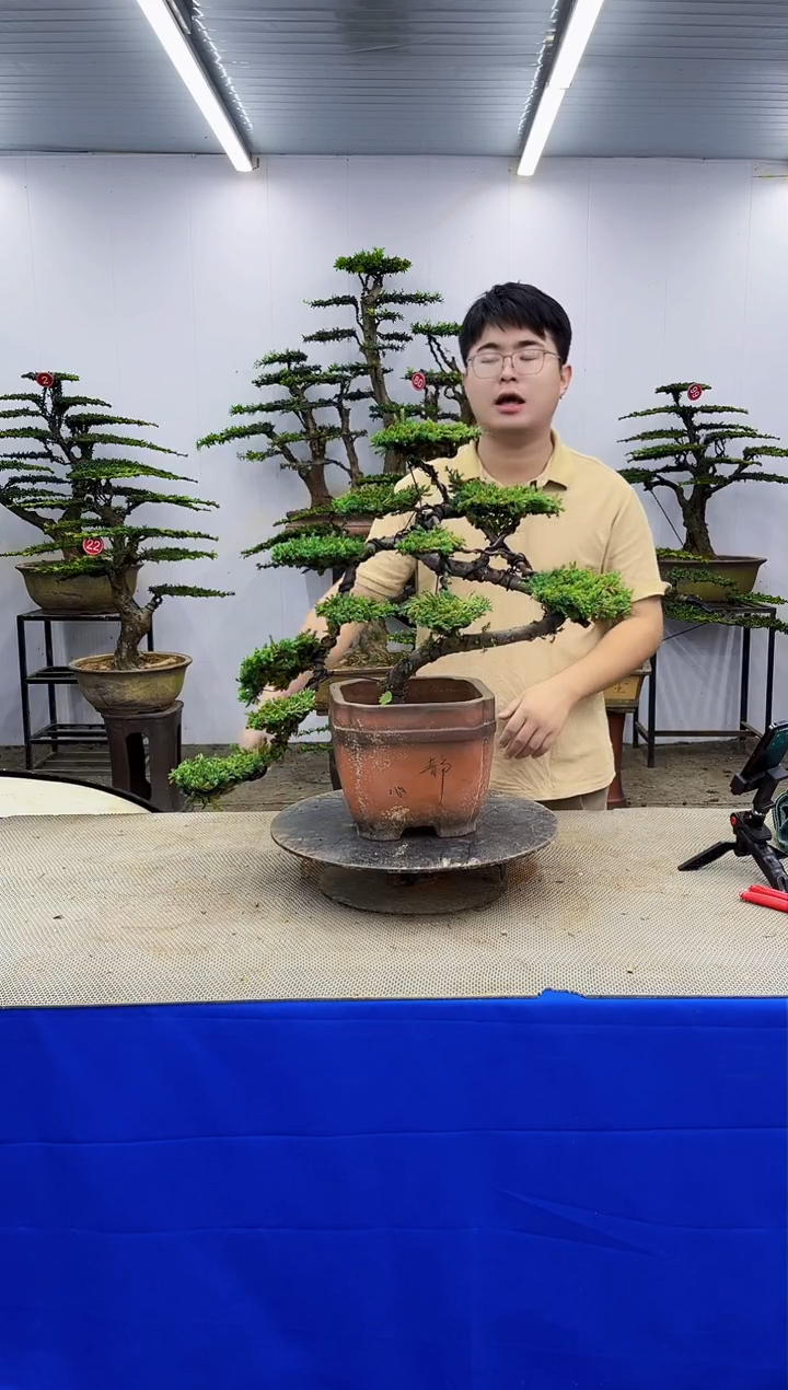 无花朵一物一拍，所见即所得