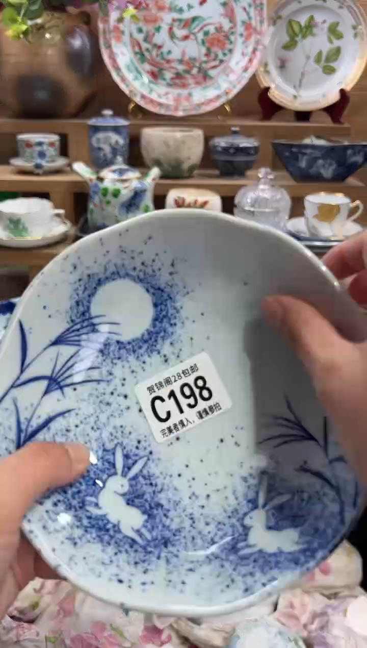 瓷片一**～      C198