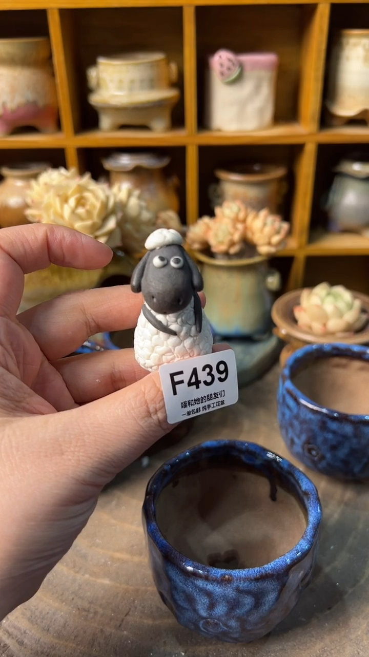 是***、439【多肉花盆多肉盆】