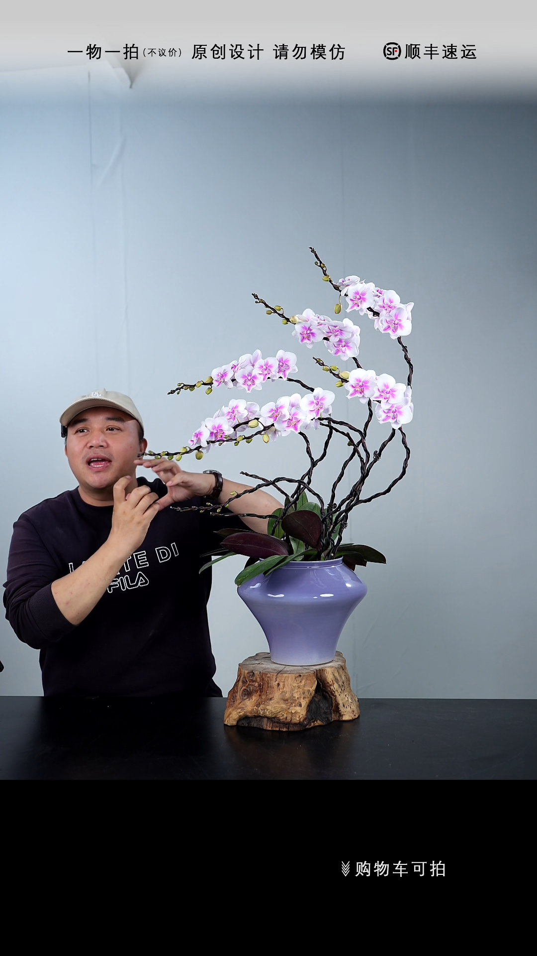 【闪购商品】099号链接【一物一拍】艺术盆景