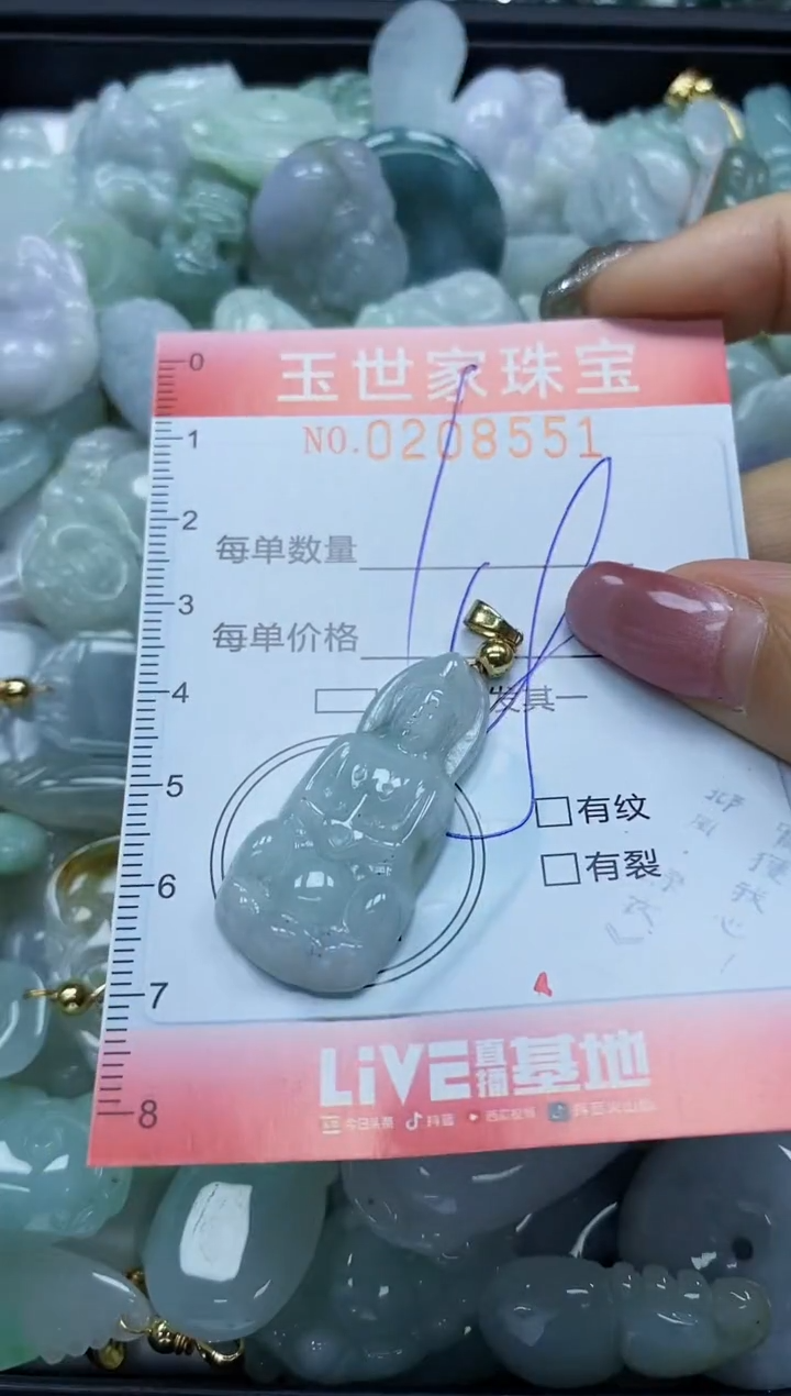 【闪购商品】翡翠颈饰未镶嵌闪购0208551