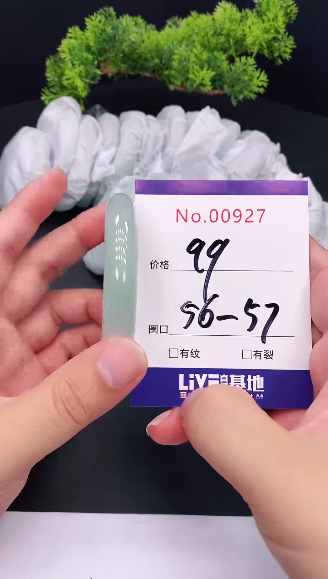 未镶嵌手镯翡翠0927