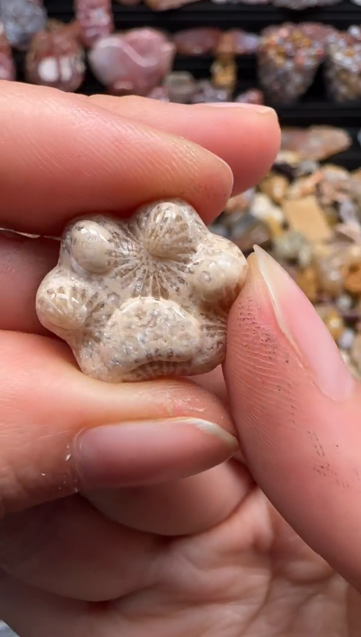 【闪购商品】硅化珊瑚（珊瑚玉）颈饰未镶嵌061