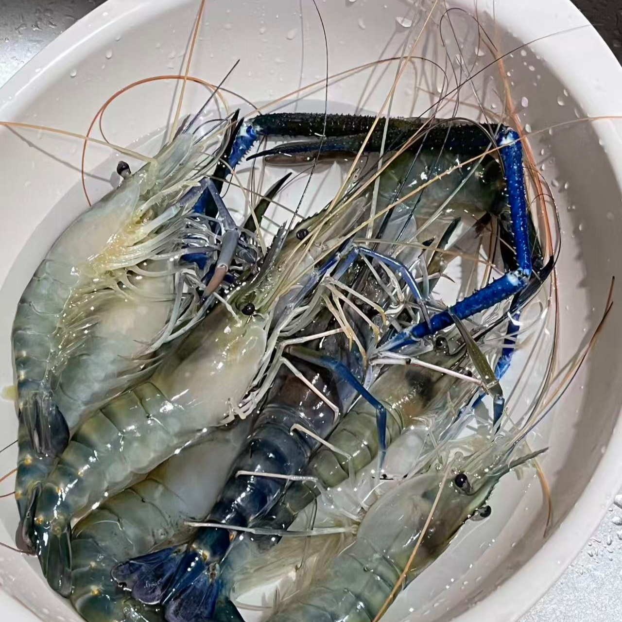 【罗式虾一斤】保鲜不保活，小时送达。