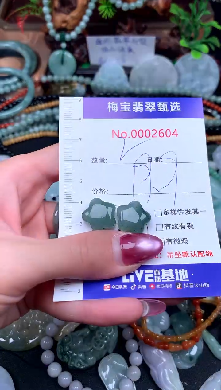 颈饰未镶嵌翡翠早19.9