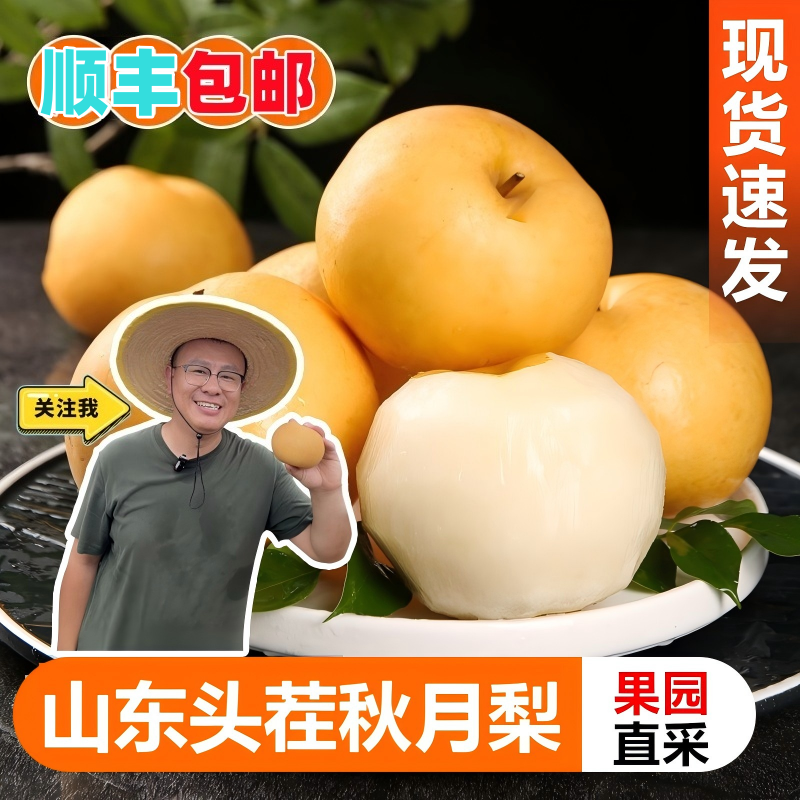 【黑龙江/云南】山东头茬秋月梨正宗秋月梨冰糖梨批发现摘应季水果