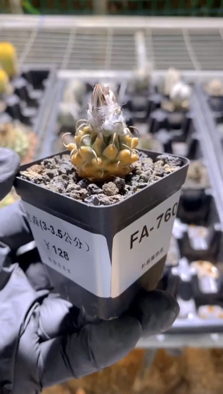 【闪购商品】安德森FA-760