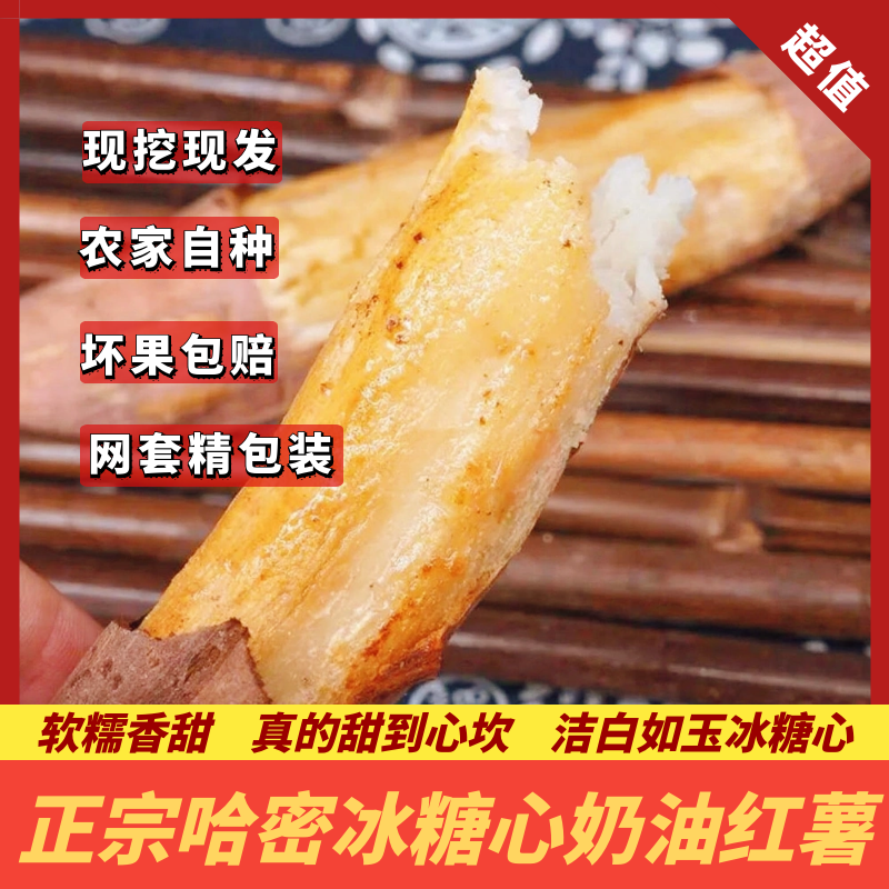 【薯再来】正宗哈密冰糖心奶油红薯净重5斤装现挖现发红薯番薯主
