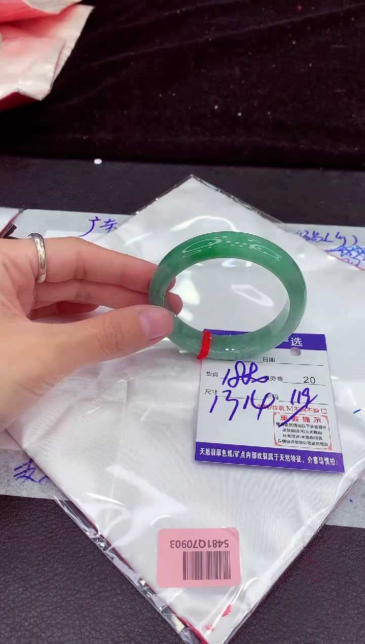 未镶嵌手镯翡翠11111111