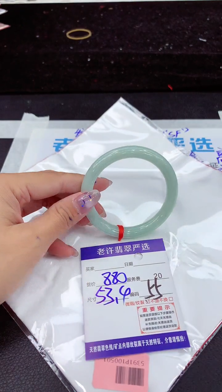未镶嵌手镯翡翠1