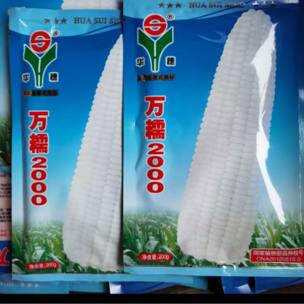 华穗万糯2000种子