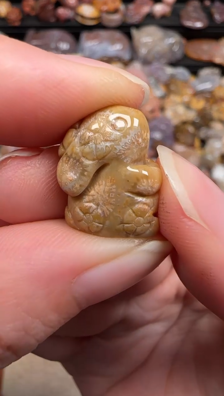 硅化珊瑚（珊瑚玉）未镶嵌颈饰270