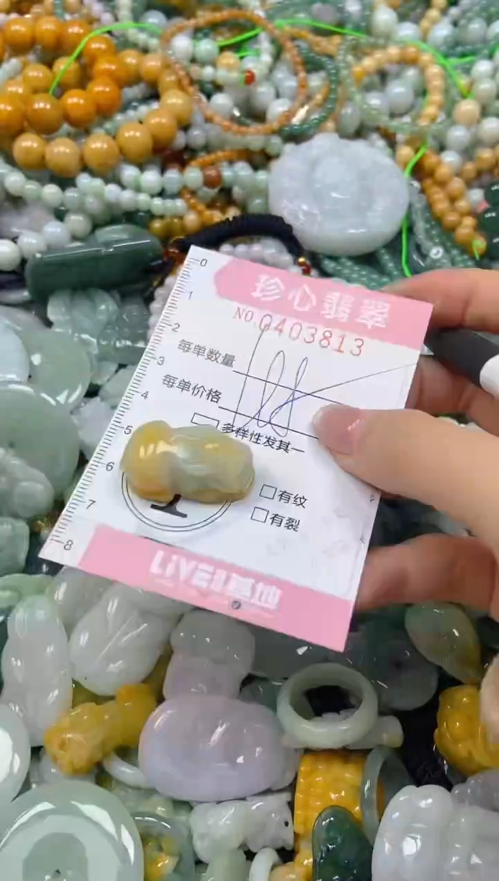 颈饰未镶嵌翡翠闪购0403813