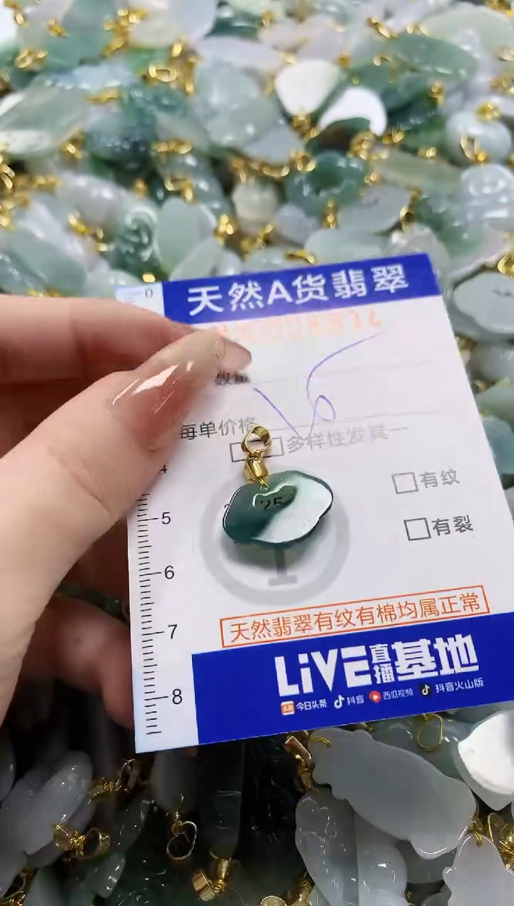 颈饰未镶嵌翡翠天然A货翡翠