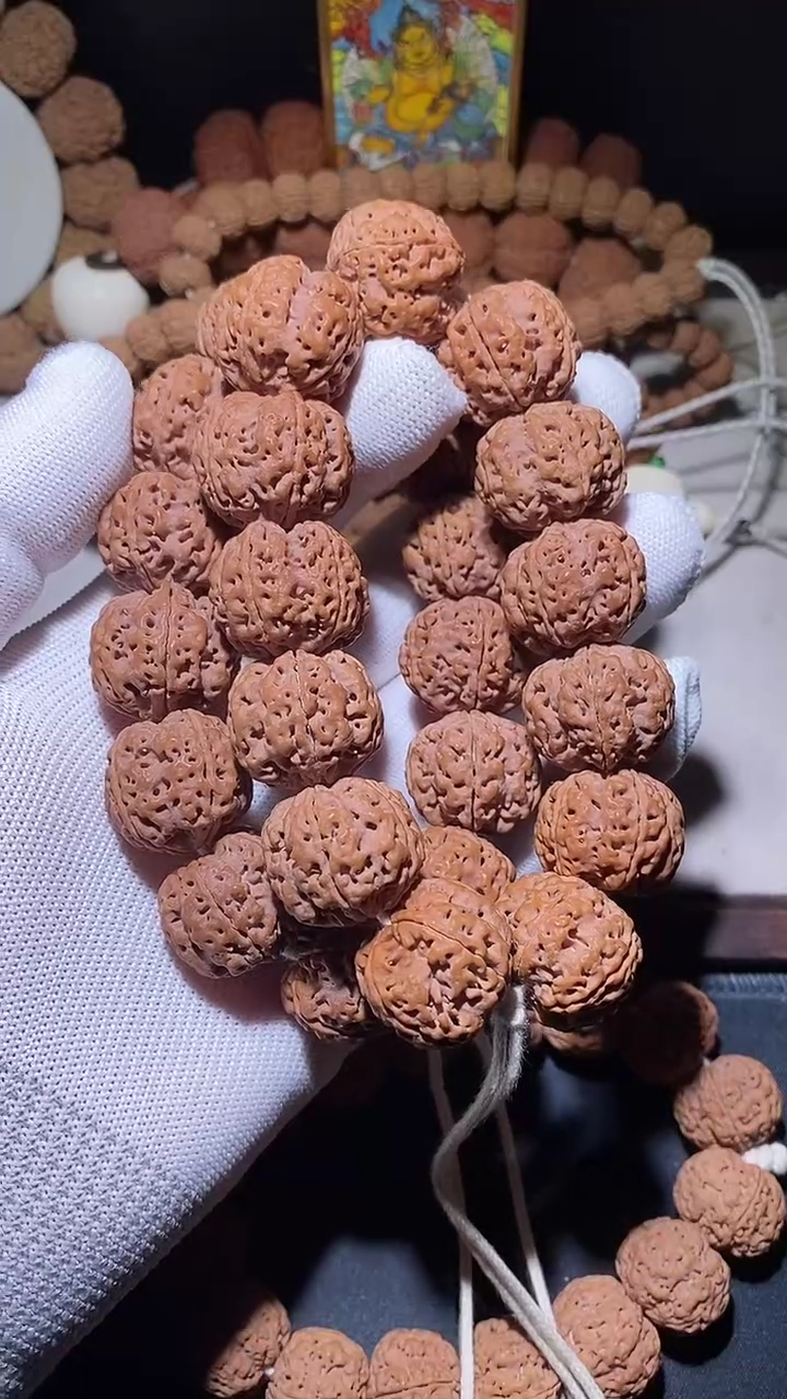 【闪购商品】金刚菩提手串平头闷墩粗筋双龙23