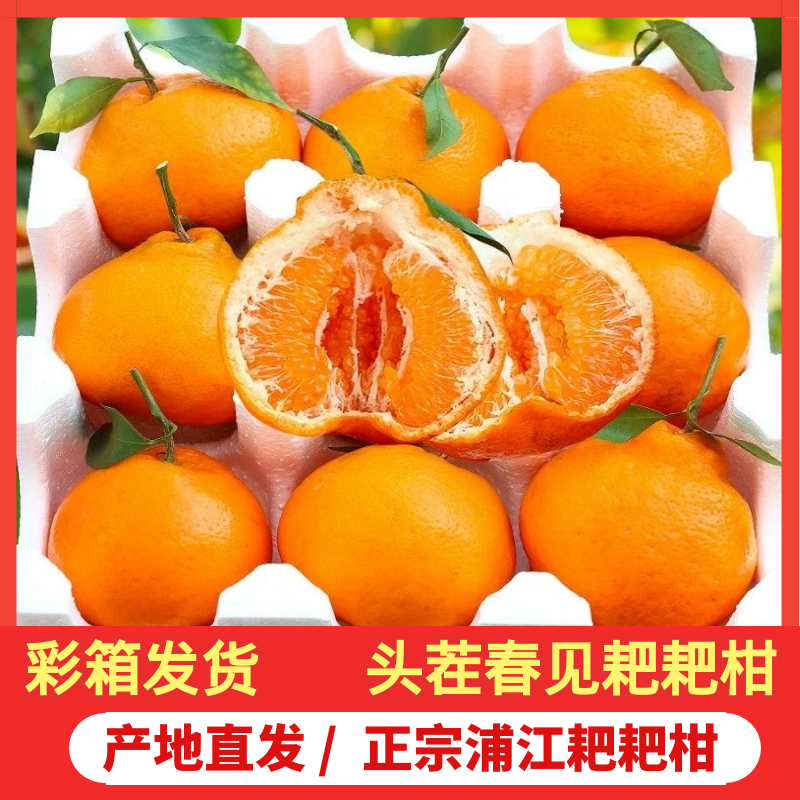 正宗四川春见粑粑柑新鲜水果当季一口爆汁柑橘产地现摘现发