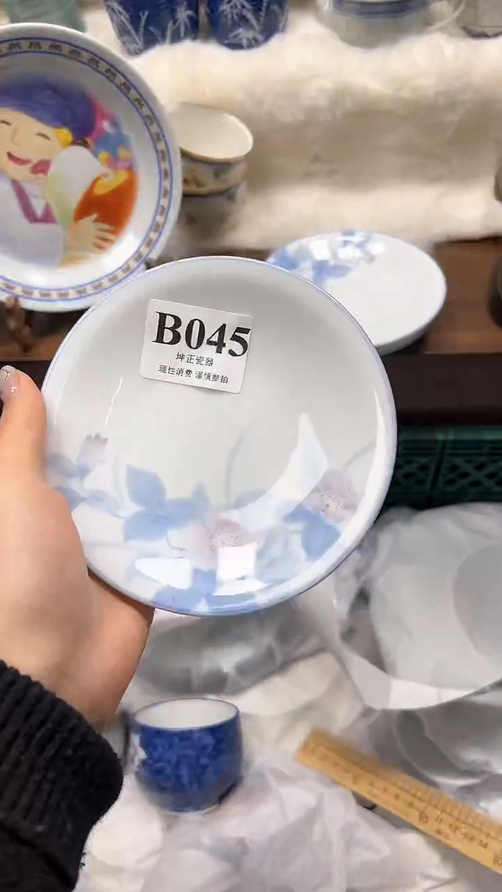 【闪购商品】瓷片          B045