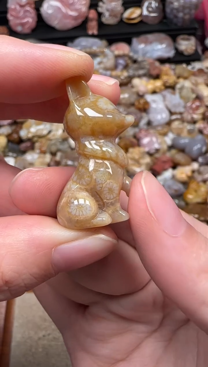 颈饰未镶嵌硅化珊瑚（珊瑚玉）732