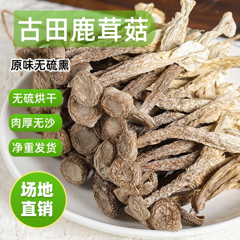 SJ【当季新货鹿茸菇干货】菌菇脆菇农家特产新鲜煲汤食材鹿耳菌无硫