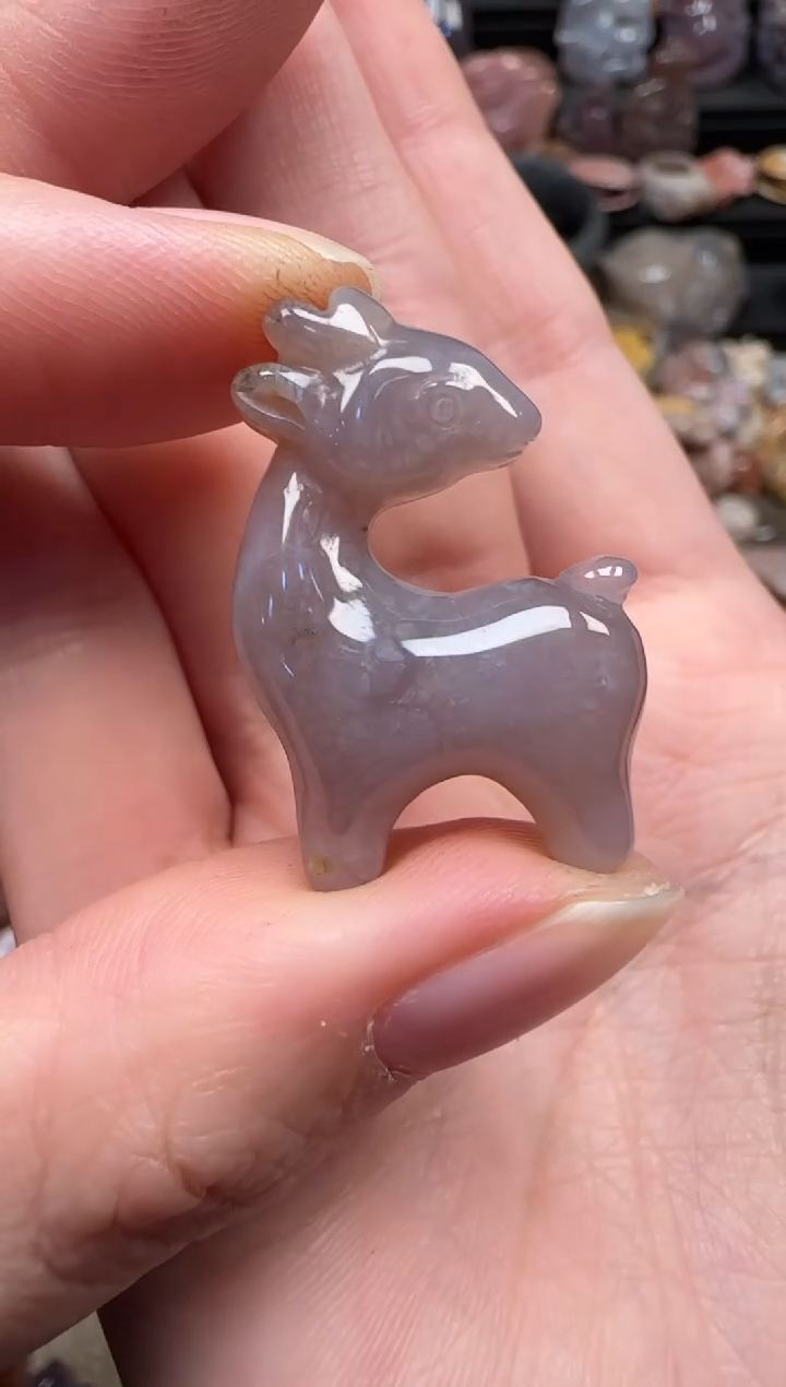 颈饰未镶嵌硅化珊瑚（珊瑚玉）876