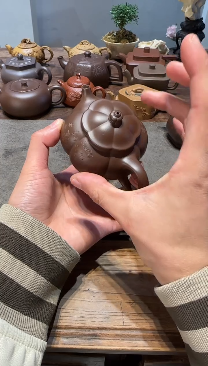 茶壶紫砂?****?大鱼海棠