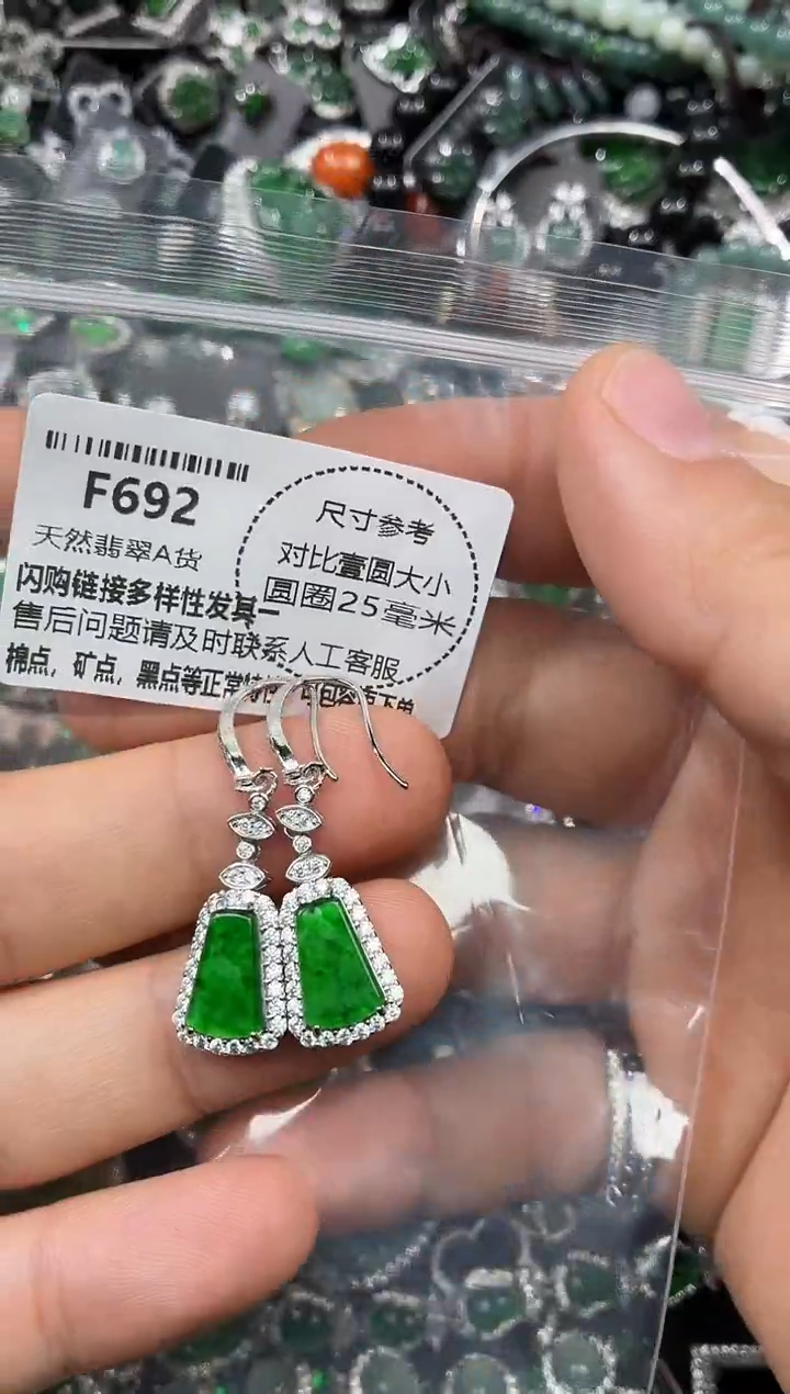 颈饰未镶嵌翡翠F692耳钩