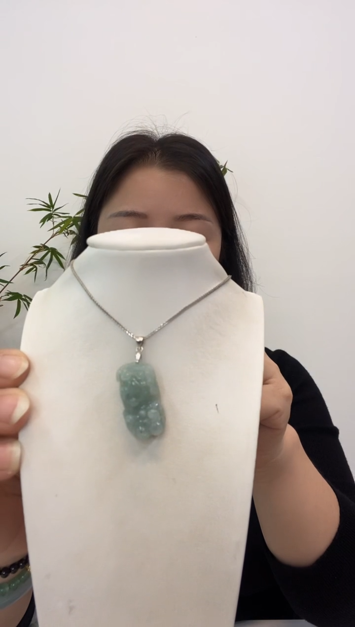 【闪购商品】翡翠吊坠(赠链)未镶嵌貔貅