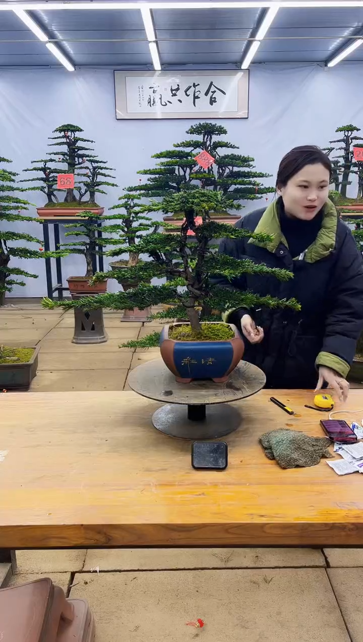 【闪购商品】高端盆景一物一拍，所见即所得