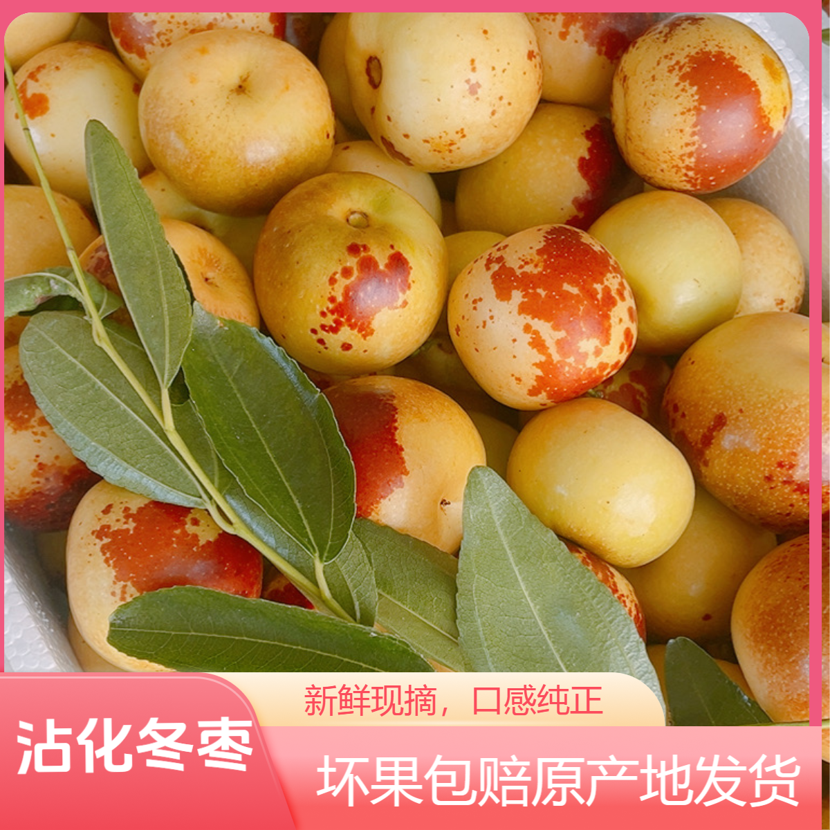 山东沾化冬枣现货（3-5斤装）特大冬枣脆甜冬枣现摘现发新鲜皮薄