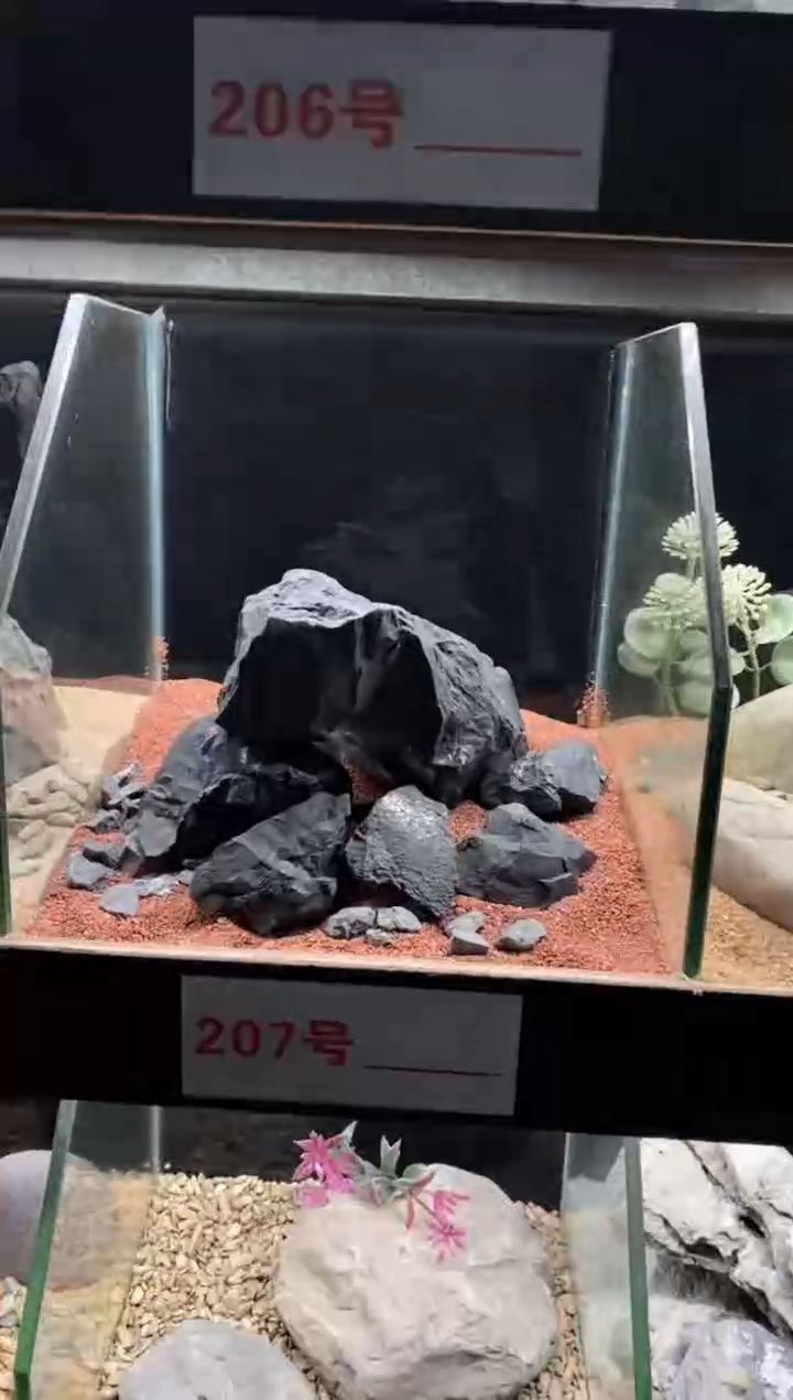 207号鱼缸造景（不含底砂）
