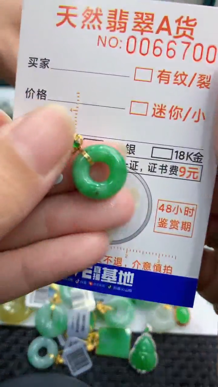 【闪购商品】翡翠颈饰18K金镶嵌            8