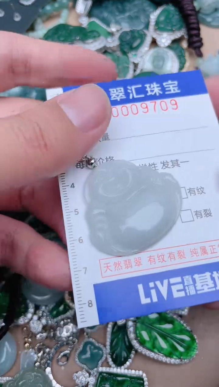 【闪购商品】翡翠颈饰未镶嵌9709....